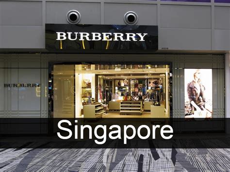 burberry cosmetic singapore|burberry singapore office.